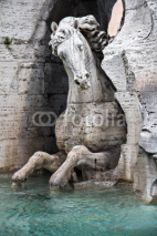 fountain in the Piazza Navona in Rome