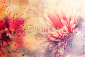 Fototapety watercolor artwork with beautiful red flower