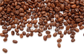 Obrazy i plakaty Brown roasted coffee beans isolated on white