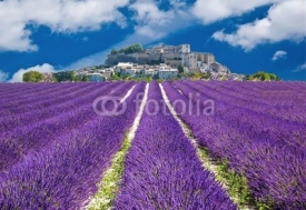 Fototapety Lavande en Provence, village provençal en France
