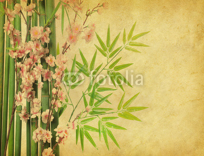 bamboo and plum blossom on old antique paper texture