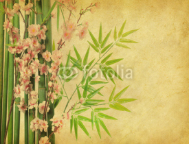 Fototapety bamboo and plum blossom on old antique paper texture