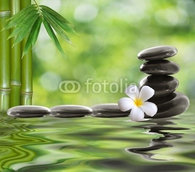 spa stones with frangipani