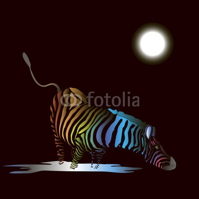 Zebra with colored stripes. Vector