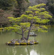 Naklejki Japanese garden