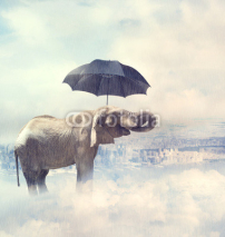 Obrazy i plakaty Elephant enjoying rain avobe the city on the clouds