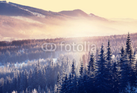 Naklejki Winter mountains