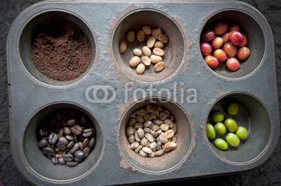 stages of coffee beans