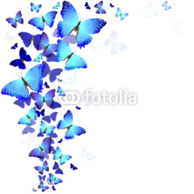 Naklejki background of butterflies