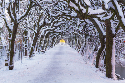 Winter scenery in snowy park of Gdansk, Poland