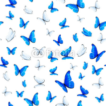 Obrazy i plakaty Seamless background with butterflies