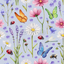 Fototapety Wild flowers and insects illustration. Watercolor summer pattern