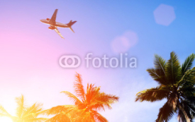 Naklejki palm and airplane
