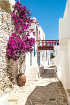 Naklejki Traditional greek alley on Sifnos island, Greece