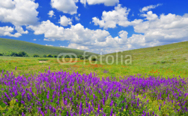 Fototapety Spring landscape
