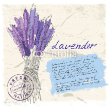 Naklejki illustration of lavender