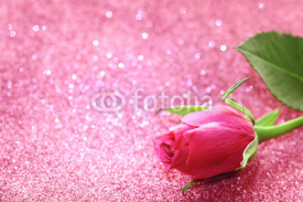 Valentine's Day pink rose, glitter background