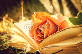 Naklejki book and rose