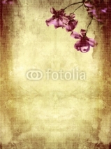 Obrazy i plakaty Beautiful grunge background with magnolia