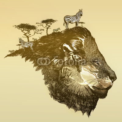 Lion of savanna