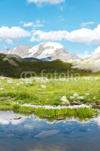 Lago e fiori, Gran Paradiso, Valle d'Aosta