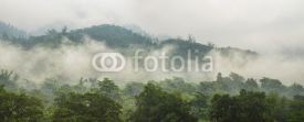 Fototapety Green forest with fog in mountains panorama