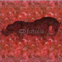 Fototapety Fond rouge cheval