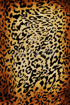 Naklejki Leopard pattern