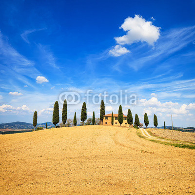 Tuscany, farmland, cypress trees and white road. Siena, Val d Or