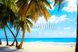 Fototapety Art  beautiful untouched tropical sea beach