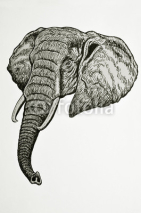 Naklejki ritratto di testa di elefante