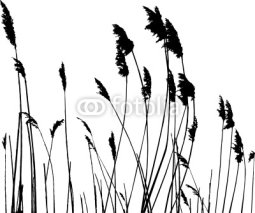 Naklejki real grass silhouette - vector