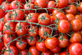 Naklejki Cherry tomatos on a market
