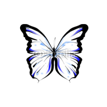Naklejki blue butterfly