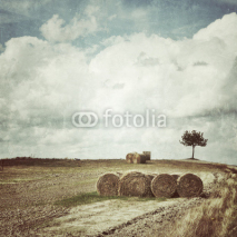 Obrazy i plakaty Tuscan rural landscape