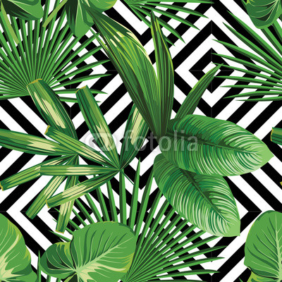 tropical palm leaves pattern, geometric background