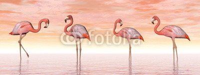 Pink flamingos in water - 3D render