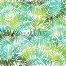 Fototapety Palm tree branches on white background.