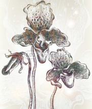 Naklejki Vintage orchid background. Vector. EPS 10.