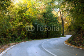 Fototapety forest road