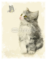 Fototapety Vintage greeting card with fluffy kitten and butterfly.  Imitati