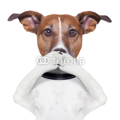 covering mouth dog
