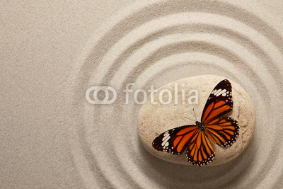 Zen rock with butterfly