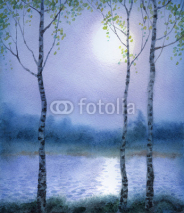 Fototapety Watercolor landscape. Spring birch trees near the river