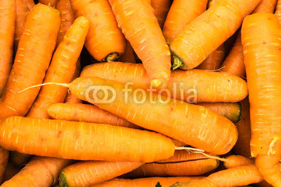 Harvested orange carrots on display
