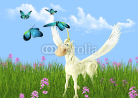Fototapety Pegasus