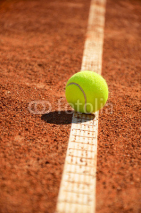 Fototapety tennis ball is on the markup vertical 0159