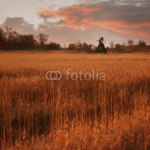 Fototapety Fenland in Cambridgeshire, England