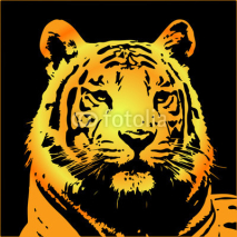 Naklejki tiger portrait?