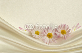 Naklejki White background with daisies